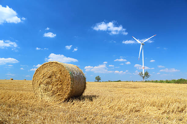 Hay bale on the gold field and wind turbine behind as alternative energy source.