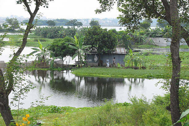 istock Fisher's hut. Bangladesh 177531981