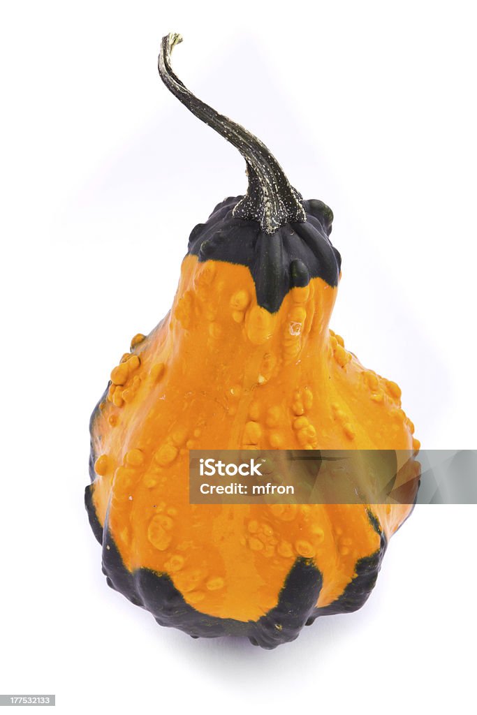 Decorativo calabaza squash aislado sobre fondo blanco - Foto de stock de Alimento libre de derechos