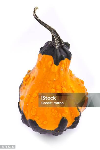 Decorativo Calabaza Squash Aislado Sobre Fondo Blanco Foto de stock y más banco de imágenes de Alimento