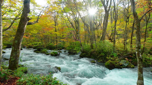 Landscape of stream in Japan