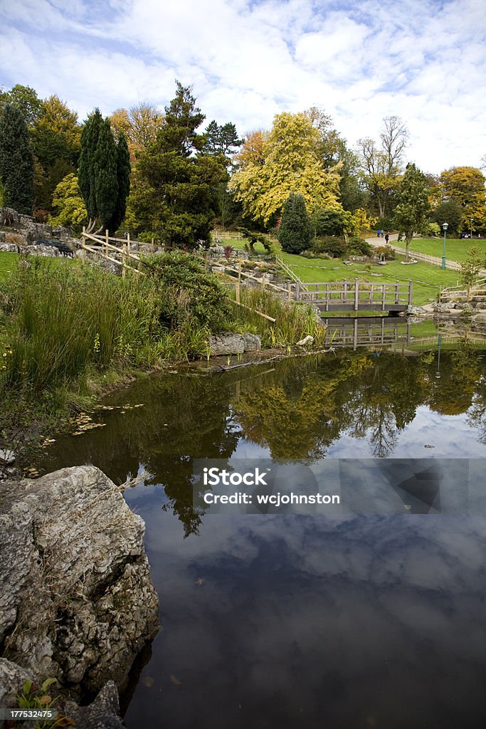 「リフレクションズ」では、池や木の橋 - プレストン - イングランドのロイヤリティフリーストックフォト