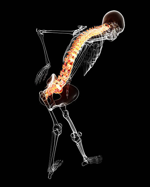 istock illustration of back pain 177532522