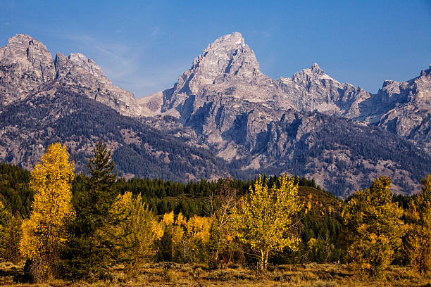 istock Autumn in the Grand Tetons 177532672