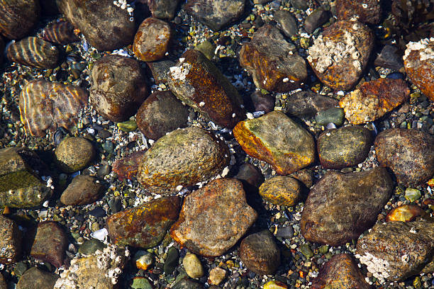 Colorful Pebbles in Water stock photo