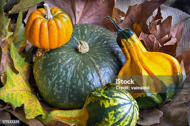 Algunas Pumpkins Entre Hojas Foto de stock y más banco de imágenes de Agricultura - Agricultura, Alimento, Amarillo - Color