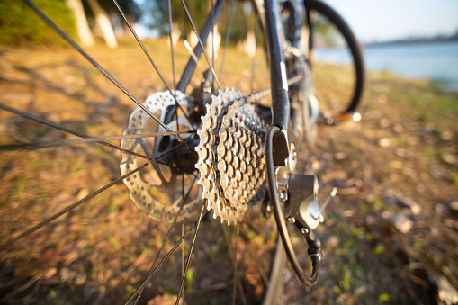 freewheel of a road bike under sunshine