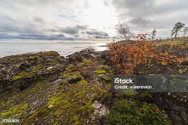 Felsenküste Von Herbst See Stockfoto und mehr Bilder von Ast - Pflanzenbestandteil - Ast - Pflanzenbestandteil, Baum, Blatt - Pflanzenbestandteile