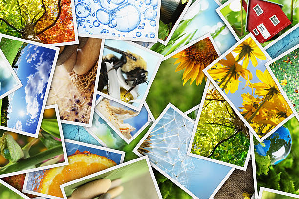 istock Collection of photos 177533930