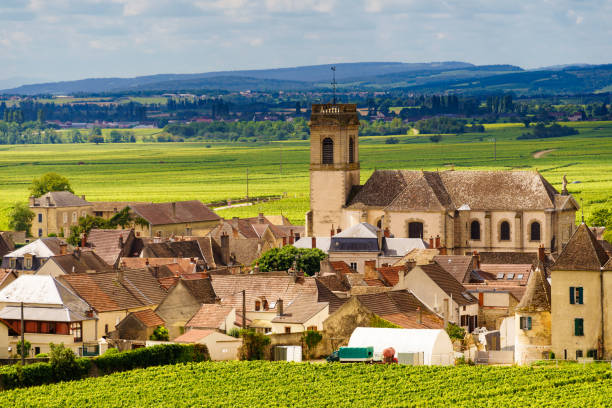 winnice i wioska pommard, burgundia we francji. - côte d'or zdjęcia i obrazy z banku zdjęć