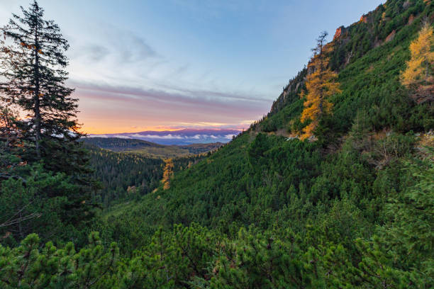 istock Mengusovska Valley - High Tatras - Slovakia 1775339508