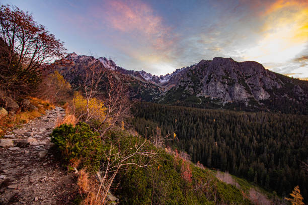 istock Mengusovska Valley - High Tatras - Slovakia 1775340030