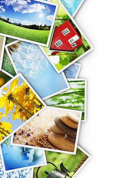 istock Collection of photos 177534038