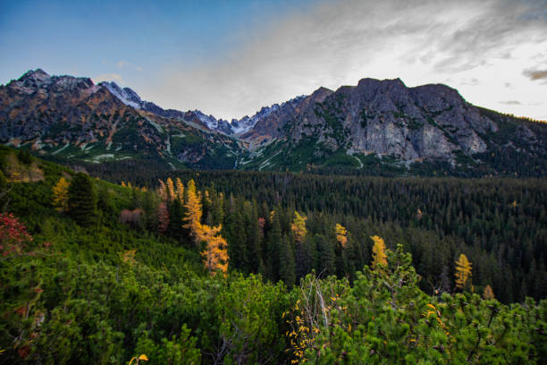 istock Mengusovska Valley - High Tatras - Slovakia 1775341082