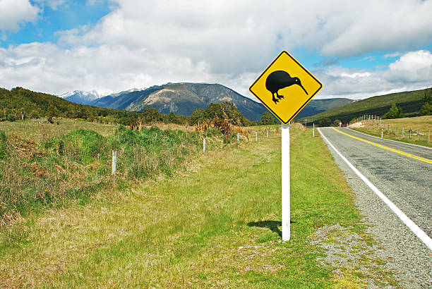 istock Kiwi road sign 177534222