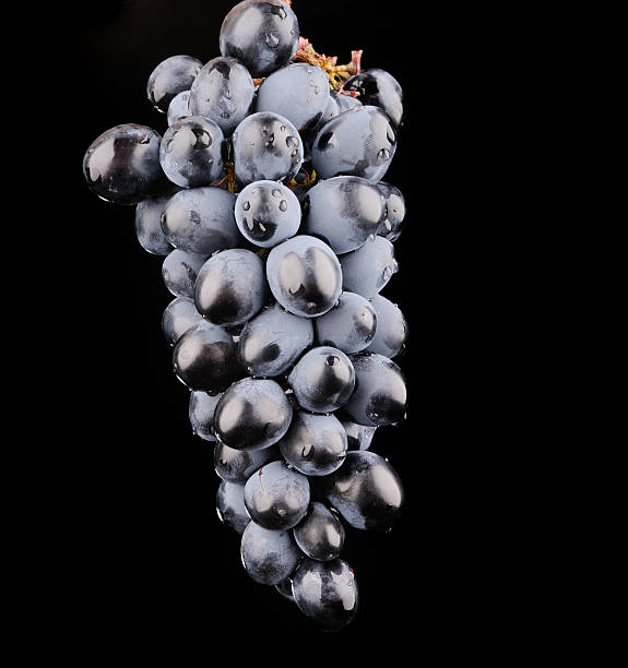 istock Branch of blue grapes isolated on black 177534304