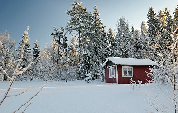 istock Winter cold Swedish details 177534338
