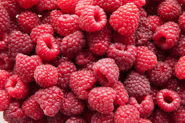 Raspberry background stock photo