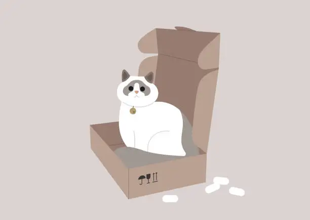 Vector illustration of A funny ragdoll cat lounging within a cardboard package, a delivery service scenario