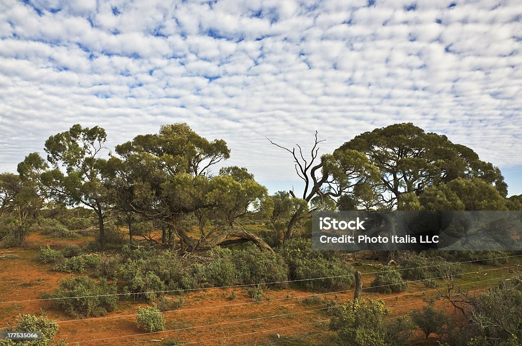outback - Lizenzfrei Australien Stock-Foto
