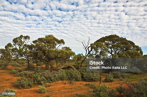 Australijski Outback - zdjęcia stockowe i więcej obrazów Australia - Australia, Australijski Outback, Bez ludzi