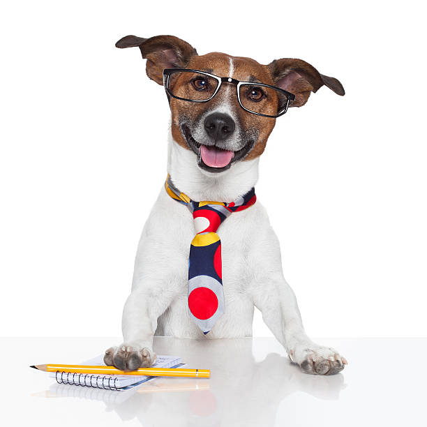 istock Dog in glasses and tie with notepad 177535371