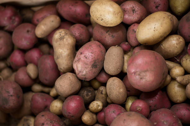 istock An Assortment of Potatoes 177535641