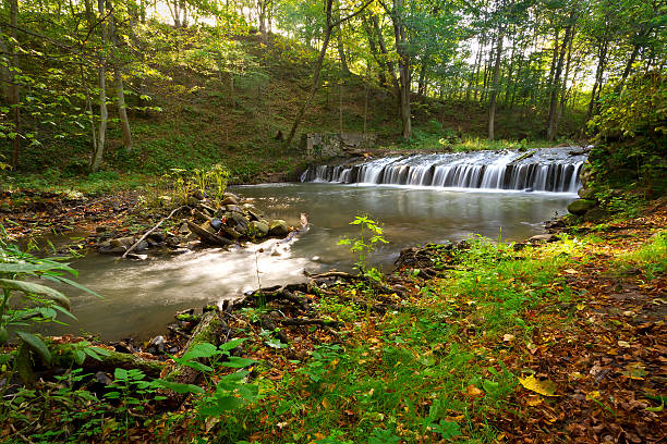 istock Creek cascades in the forest 177536027