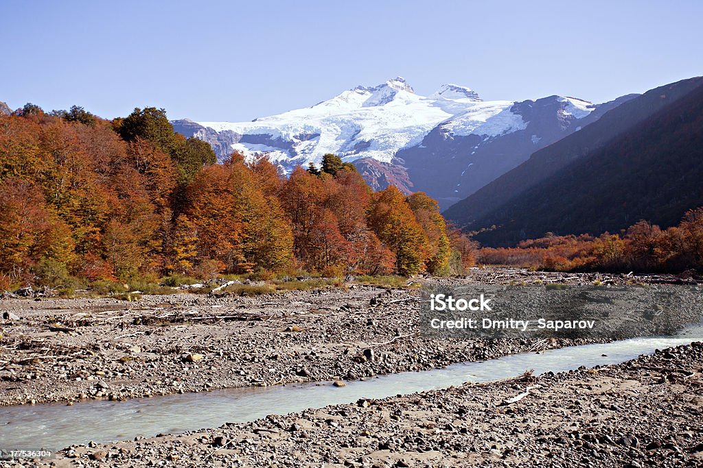 Monte Tronador, Argentina - Foto stock royalty-free di Albero