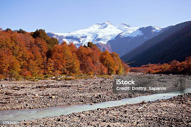 Monte Tronador Argentina - Fotografie stock e altre immagini di Albero - Albero, Ambientazione esterna, Argentina - America del Sud