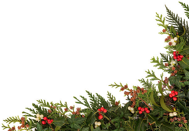 istock Seasonal Christmas Border 177536429