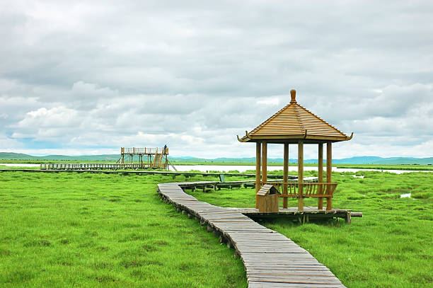 田舎の風景 ストックフォト