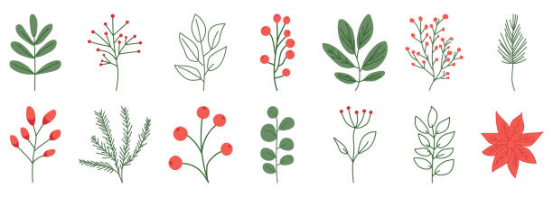 ilustrações de stock, clip art, desenhos animados e ícones de set of christmas plant and leaves - on branch