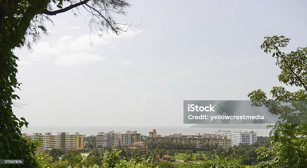 Panaji, État de Goa - Photo de Arbre libre de droits