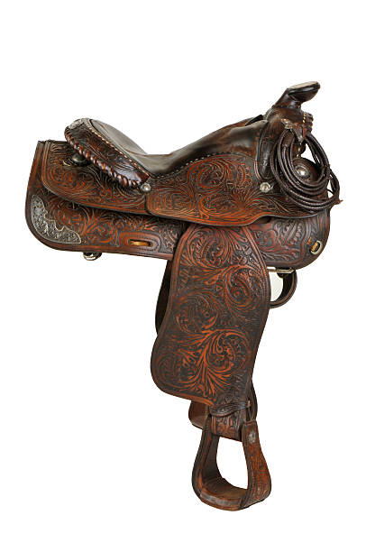 caballo de brida - saddle fotografías e imágenes de stock