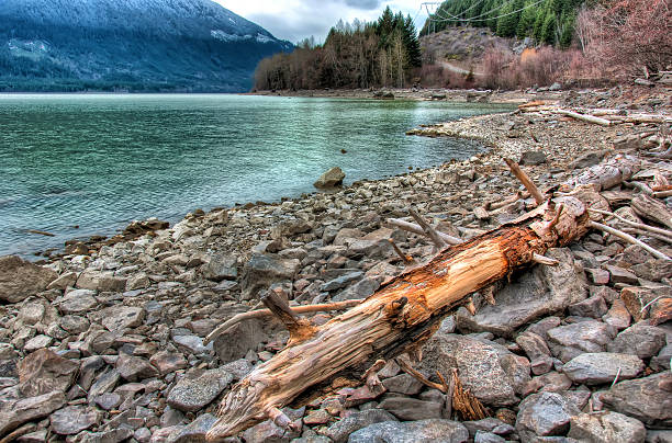 Log Lakeside on Rocky Shoreline stock photo