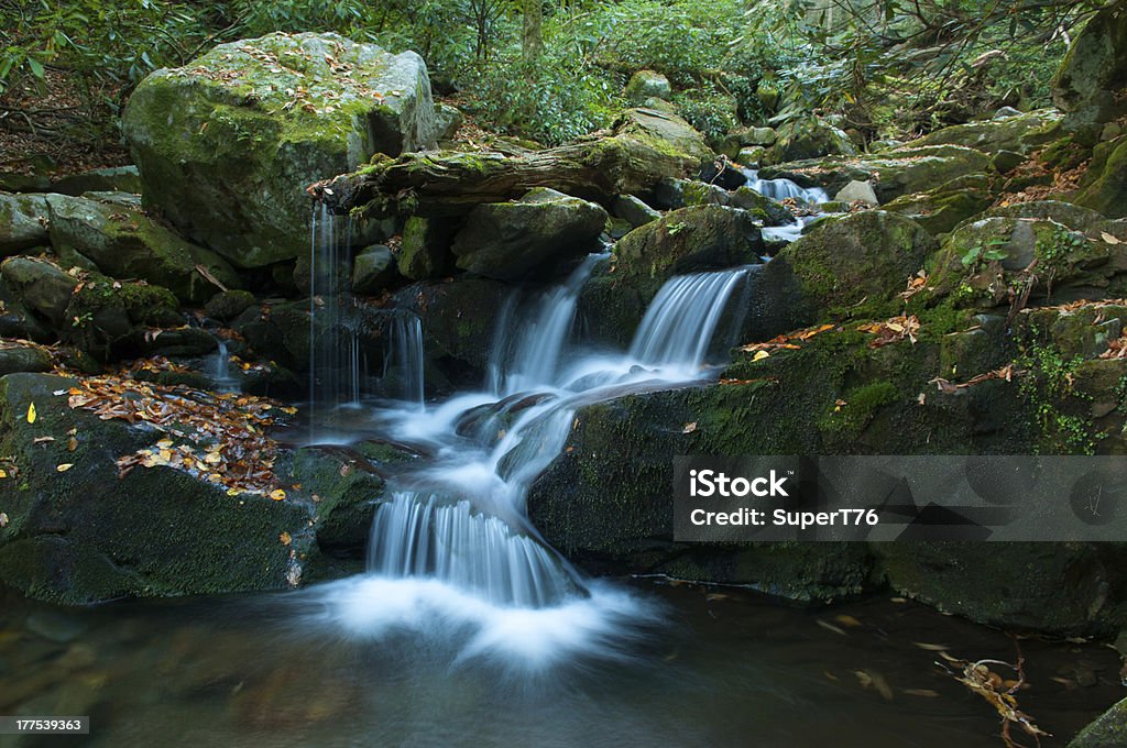 Autunno foglie linea cascata al Cascata della grotta di Gatlinburg, Tennessee - Foto stock royalty-free di Cascata della grotta