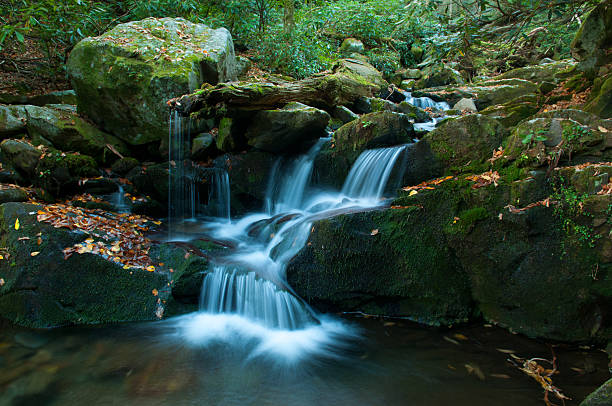 秋の葉線に落ちる滝のある洞窟内ガトリンバーグ、テネシー州 - grotto falls ストックフォトと画像