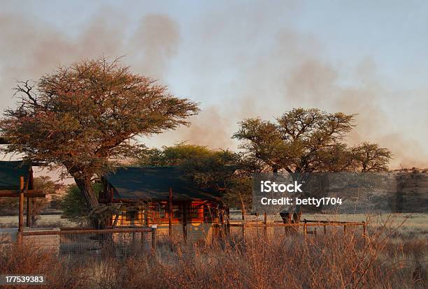 Cabina In Campagna - Fotografie stock e altre immagini di Africa - Africa, Africa meridionale, Albero