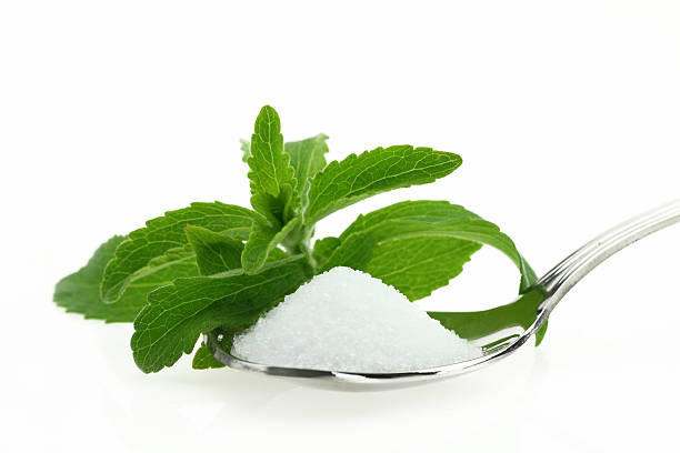 stevia rebaudiana - sweetleaf foto e immagini stock