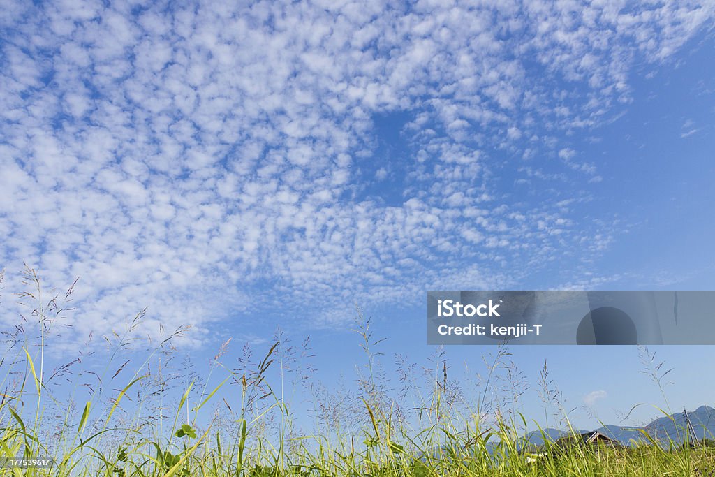 Осенний небо и Трава - Стоковые фото Без людей роялти-фри