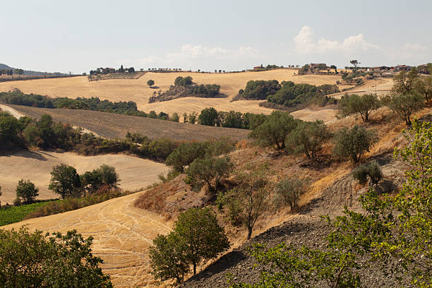 istock Tuscany's landascape 177540161