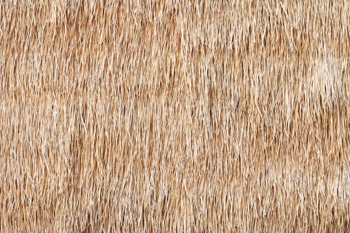 thatched straw or hay for using as texture and background
