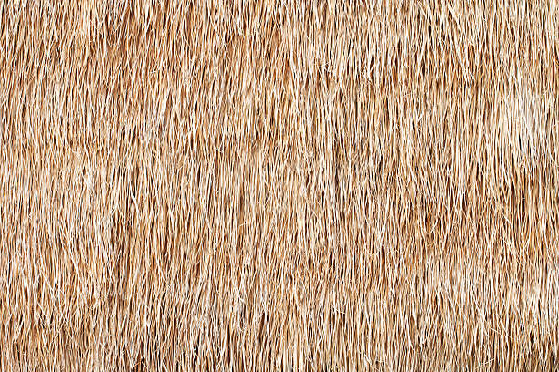 straw background thatched straw or hay for using as texture and background thatched roof stock pictures, royalty-free photos & images