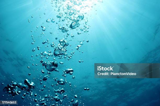 Foto de Bolhas e mais fotos de stock de Bolha - Estrutura física - Bolha - Estrutura física, Água, Debaixo d'água