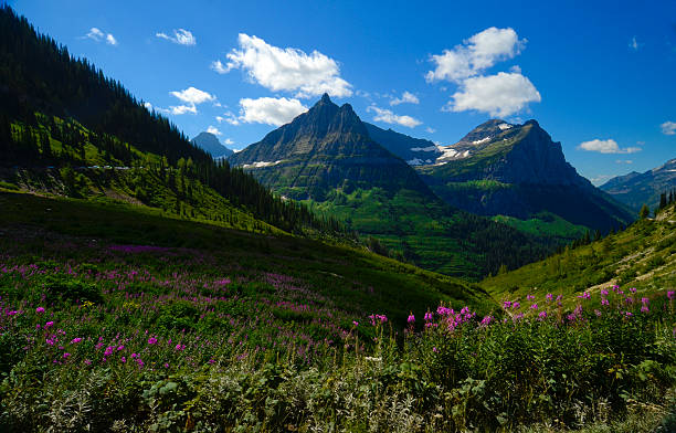 istock Glacier National Park Mountains 177541080
