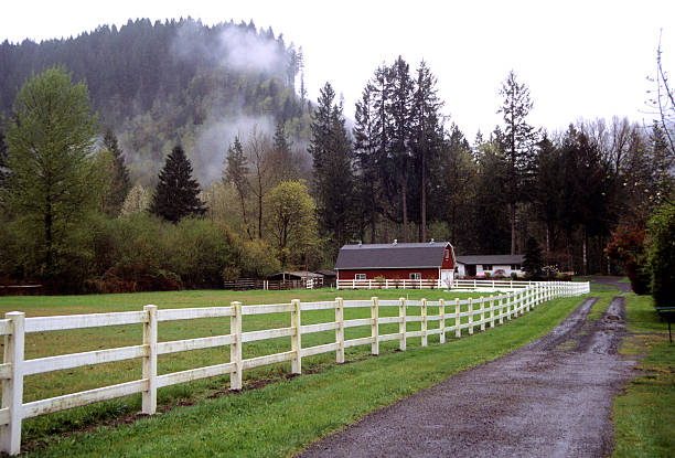 This is an image of a red barn with a white fence leading into the image. It was taken on a misty day in McKenzie Bridge, Oregon.