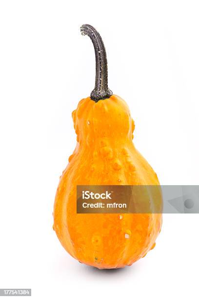 Decorativi Di Zucca Isolato Su Sfondo Bianco - Fotografie stock e altre immagini di Arancione - Arancione, Autunno, Cibi e bevande