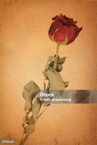 Rosas Rojas Sobre Viejo Papel Marrón Foto de stock y más banco de imágenes de Amor - Sentimiento - Amor - Sentimiento, Anticuado, Antigualla