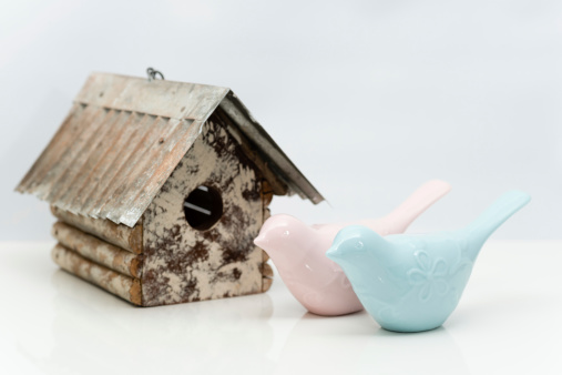 Birds in pottery and a wooden birdhouse. (XXXLarge)